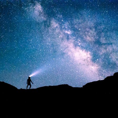 مبيت وإفطار وادي رم Beduin Star Trail Camp المظهر الخارجي الصورة